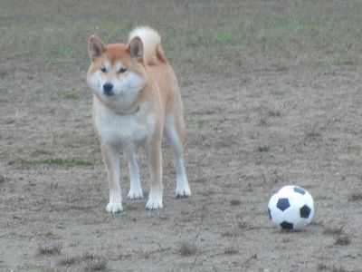 DSCN3253.JPG