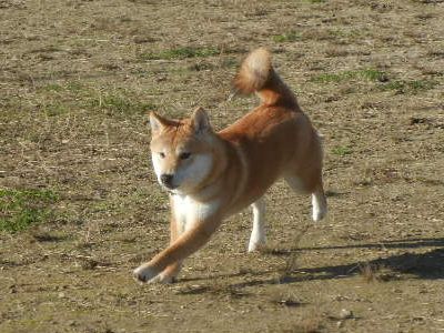 DSCN3713.JPG