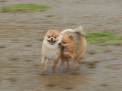 DSCN5585.JPG