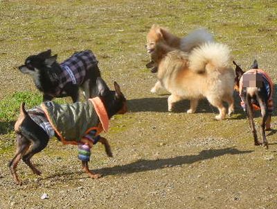 DSCN5865.JPG