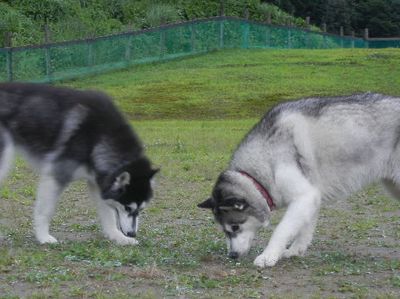 DSCN6174.JPG
