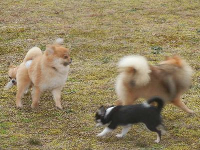DSCN8809.JPG