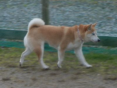 DSCN9728.JPG