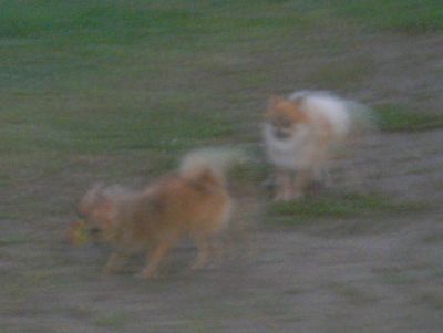 20150729-1.jpg
