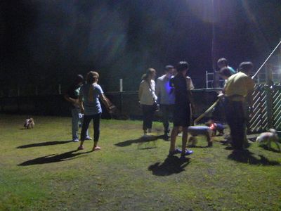 20150817-4.jpg