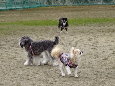 DSC03377.JPG