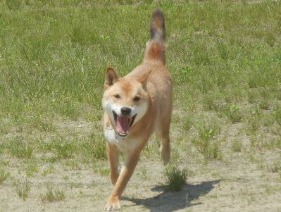 DSCN0845.JPG