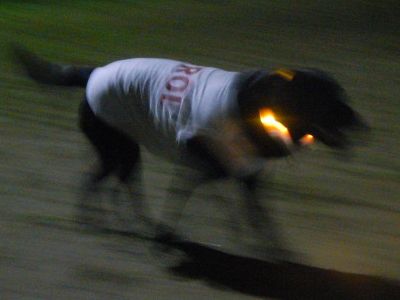 DSCN1116.JPG