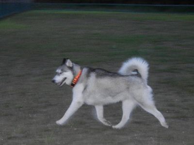 DSCN1733.JPG