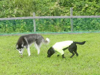 DSCN2486.JPG