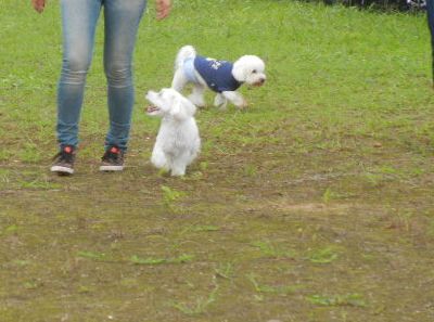 DSCN3377.JPG