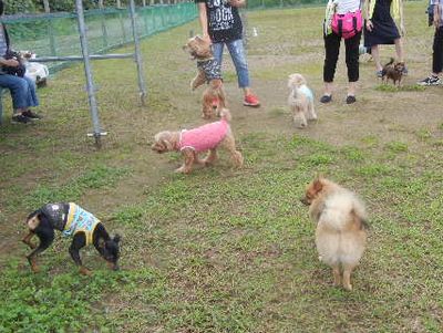DSCN5609.JPG