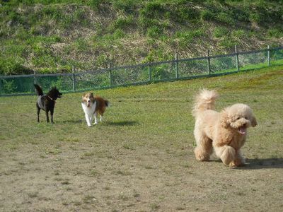 DSCN7062.JPG