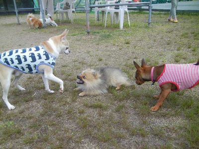 DSCN7680.JPG