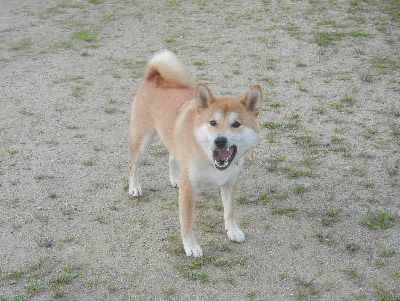 DSCN8371.JPG