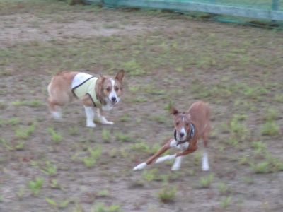 IMG_0236.JPG