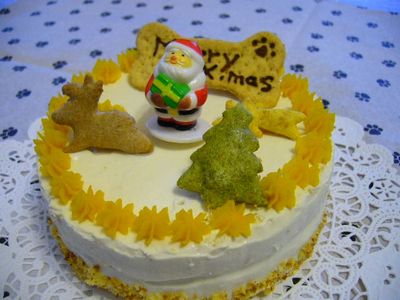 ワンちゃん用クリスマスケーキ♪