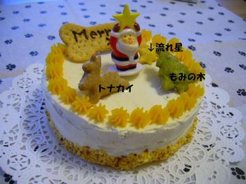 ワンちゃん用クリスマスケーキ♪