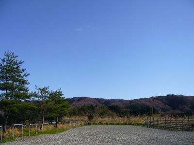 山々の紅葉