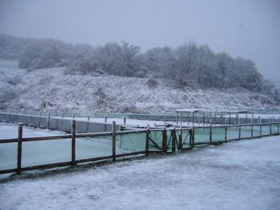 雪のドッグラン