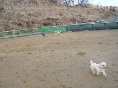 本日の様子