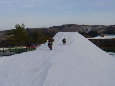 1/29本日の様子