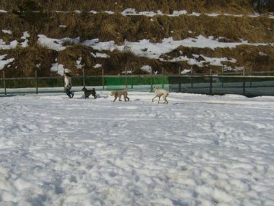 本日のオハナエリア