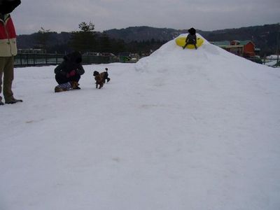 2/5本日の様子