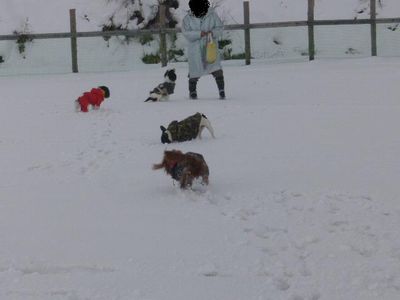 小型犬エリア♪