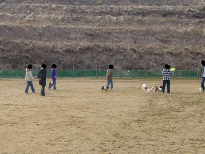 本日の様子