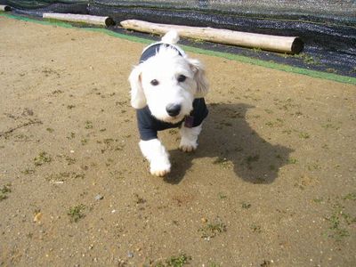 ナックちゃん