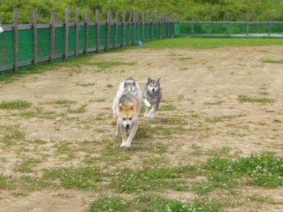 中・大型エリア