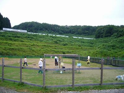 7/25ドッグラン