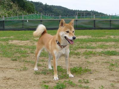 まりちゃん