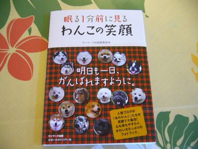 眠る１分前に見るワンコの笑顔