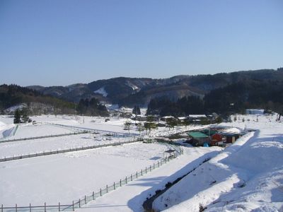 雪のドッグラン