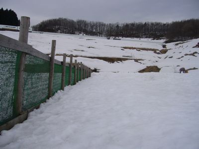 3/4ｗｅｌｉｎａｄｏｇｐａｒｋ2010-0304-12.JPG