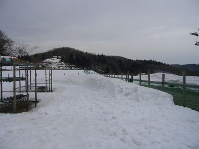 3/4ｗｅｌｉｎａｄｏｇｐａｒｋ2010-0304-13.JPG