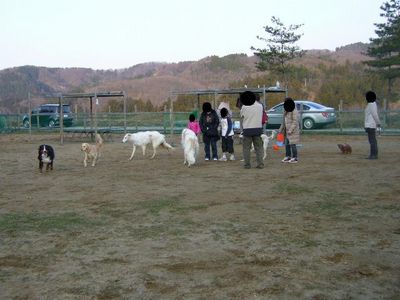 4/4ｗｅｌｉｎａｄｏｇｐａｒｋ