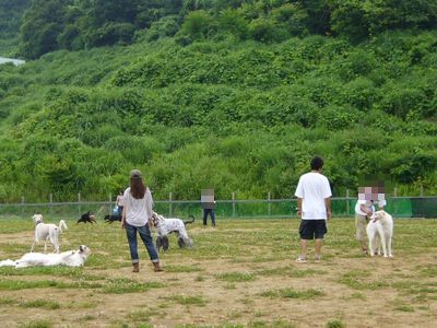 7/11ｗｅｌｉｎａｄｏｇｐａｒｋ