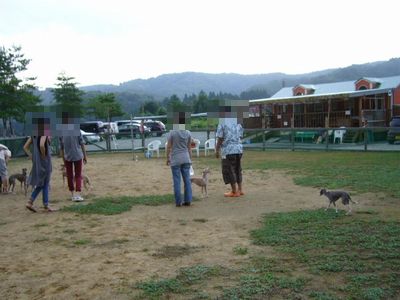 8/16ｗｅｌｉｎａｄｏｇｐａｒｋ