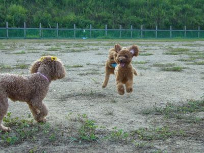 あんじゅ＆なな＆みう