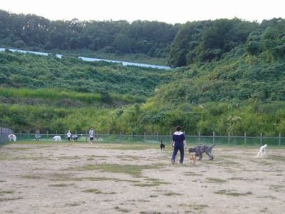 9/5ｗｅｌｉｎａｄｏｇｐａｒｋ