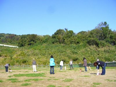 しつけ方教室