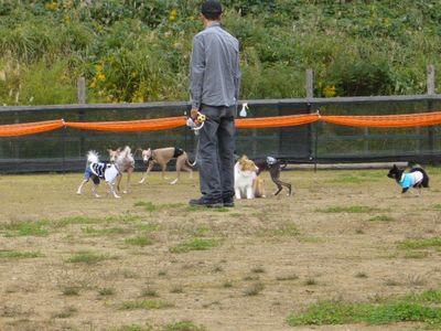 10/24ｗｅｌｉｎａｄｏｇｐａｒｋ