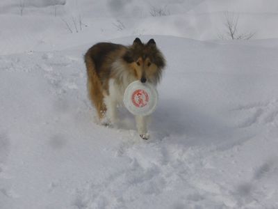 キアラちゃん