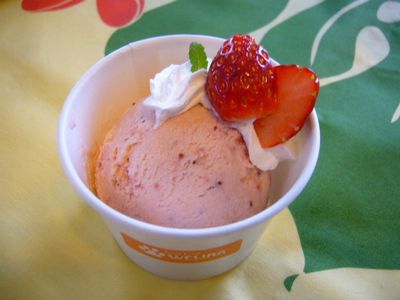 イチゴアイスクリームミニ