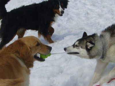 3/6ｗｅｌｉｎａｄｏｇｐａｒｋ