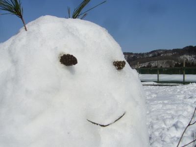 雪だるまちゃん