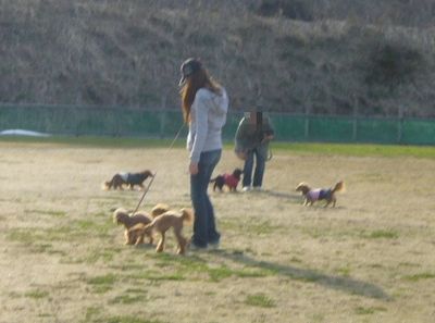 4/17ｗｅｌｉｎａｄｏｇｐａｒｋ